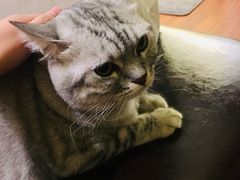 -H立方实景剧情密室(天河旗舰店)