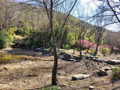 -宝界山林公园