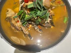 -阿露佳·舌尖上的安吉菜