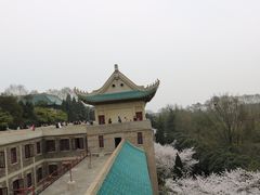 -武汉大学-樱园