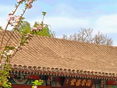 -海棠花溪(元大都城垣遗址公园)