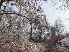 -杭州植物园