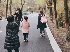 -王顺山国家森林公园