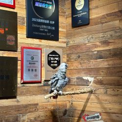 -Zoolung Zoolung动物主题公园(海信广场店)