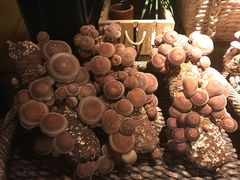 -大头椰·椰子鸡火锅(南宁万象城店)