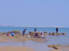 -阳光海岸露营公园