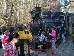 -五营红松林海景区