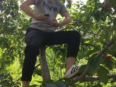 -萝卜寨羌文化生态旅游区