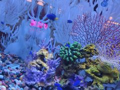 -秦皇岛新澳海底世界