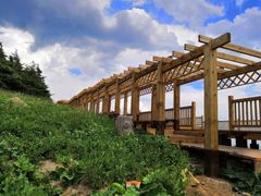 -白草畔自然风景区