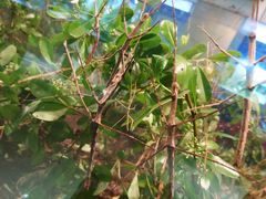 -上海昆虫博物馆