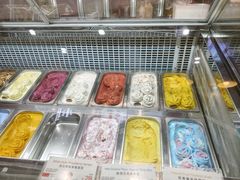-iceason爱茜茜里·意大利健康冰淇淋(骑龙巷店)