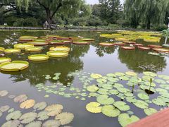 -国家植物园南园