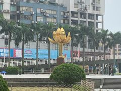 -金莲花广场