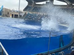-上海海昌海洋公园