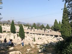 -原山国家森林公园