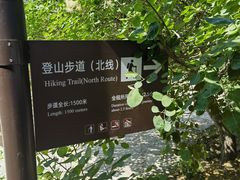 -香山公园