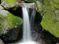 -藏龙百瀑风景区