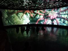 -同济大学四平路校区深海探索馆