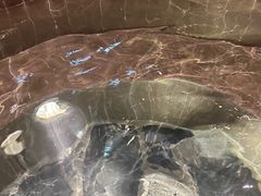 -汤印温泉假日酒店