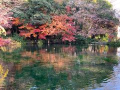 -富士山本宫浅间大社