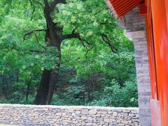 -北京上方山国家森林公园