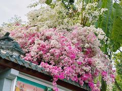 -深圳国际园林花卉博览园