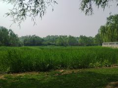 -北坞公园