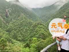 -龙湾潭国家森林公园