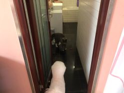 -Pink You美甲洗眉纹绣定制中心