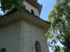 -江心屿景区