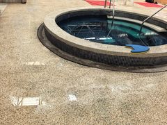 -天泉水都(子固路馆)