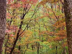 -本溪老边沟风景区