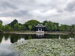 -无锡蠡湖国家湿地公园-蠡园