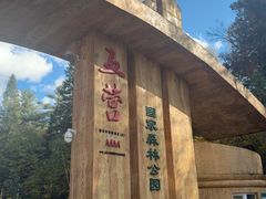 -五营红松林海景区