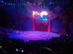 -珠海横琴长隆《卡卡虎奇遇记》