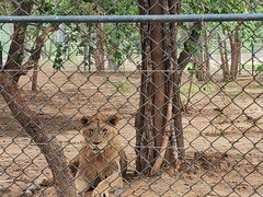 -北京野生动物园