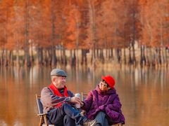 -白鹭湾湿地公园