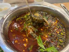 -高坎一品甲鱼庄(两河店)