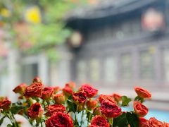 -铁炉咖啡(河下古镇店)