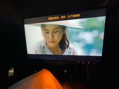-曲水兰亭(武汉徐东店)
