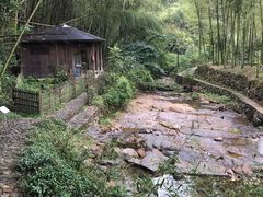 -宁波浙东大竹海景区