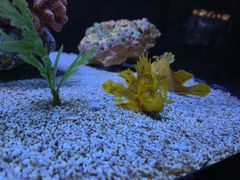 -上海海洋水族馆
