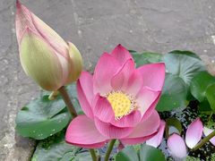 -海窝子古镇