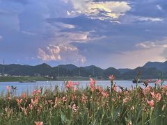 -羚羊峡古栈道森林公园