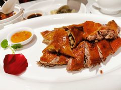 -同庆楼(滨湖万达广场店)