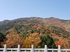 -北京西山国家森林公园