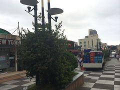 -宝健路步行街(Pedestrian Shopping Street)