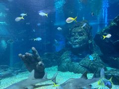 -暹罗海洋世界