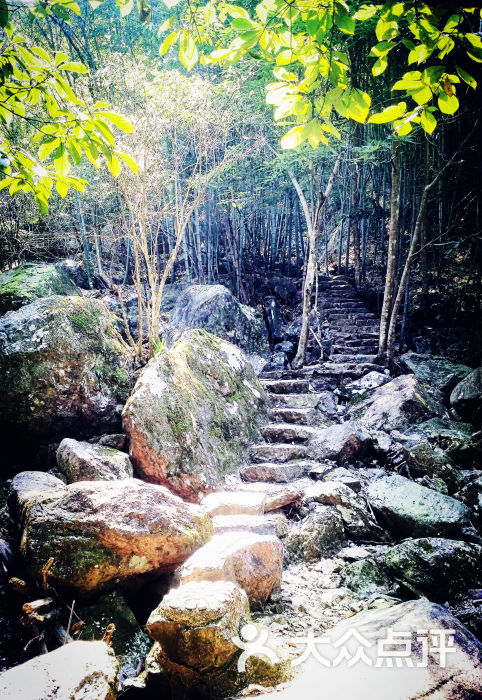 野鶴湫風景區-圖片-寧海周邊遊-大眾點評網